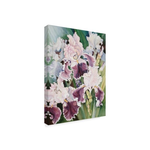 Joanne Porter 'Ruffled Burgundy Iris' Canvas Art,18x24